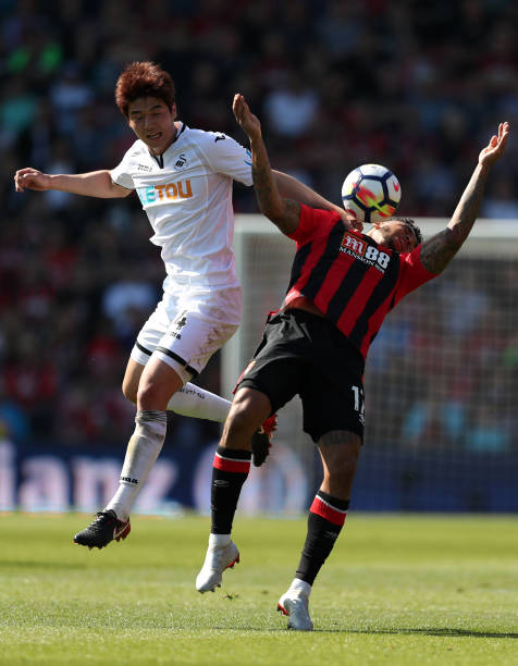 尽管随着凯 尽管随着凯