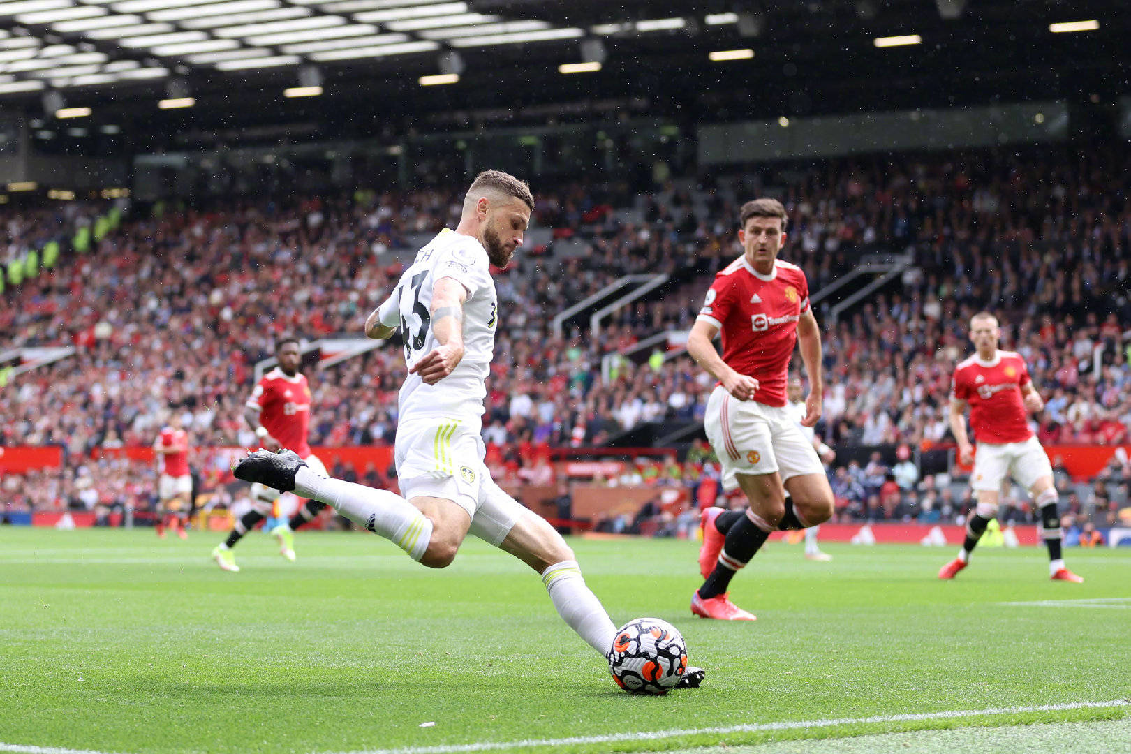 正如杨力维 正如杨力维